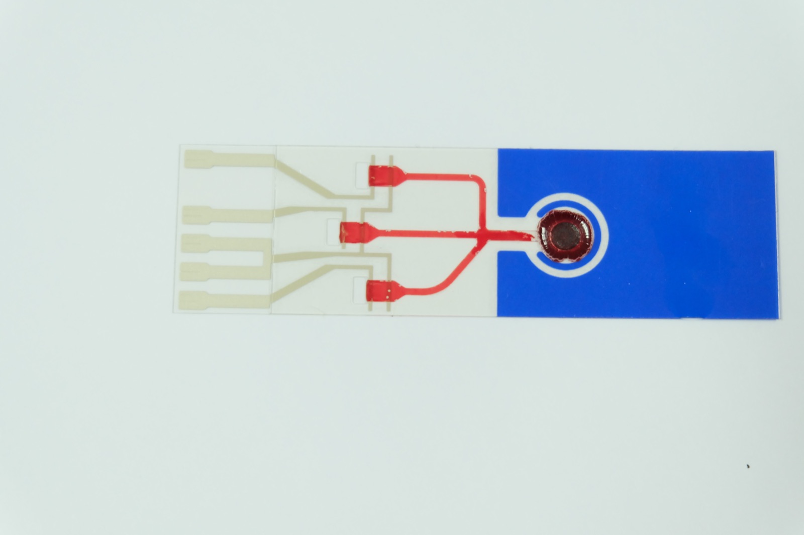 Electrochemical Sensors